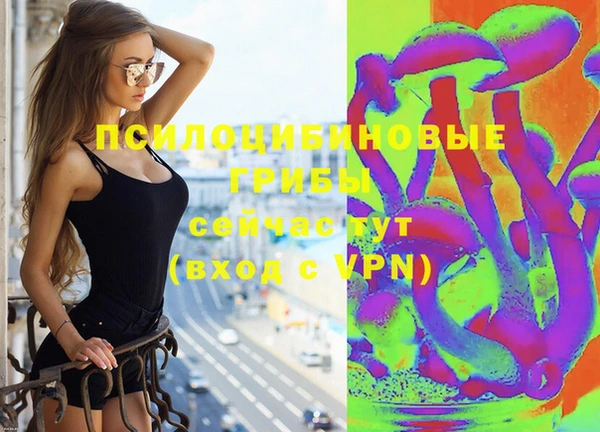 сатива Аркадак